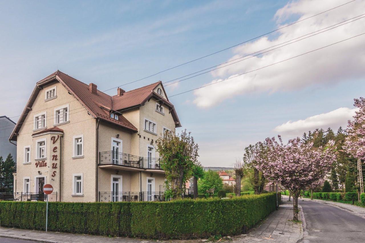 Villa Venus Kudowa-Zdrój Exterior foto